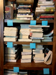 Shelves With PostIts